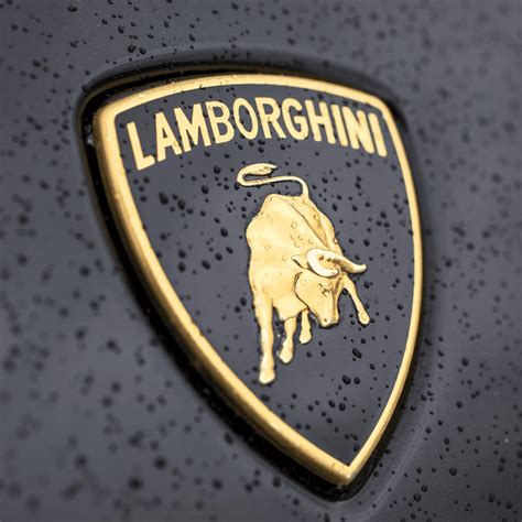 El Top 48 Imagen Que Significa El Logo De Lamborghini Abzlocal Mx