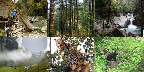 Great Himalayan National Park - Travelers Guide & Insights