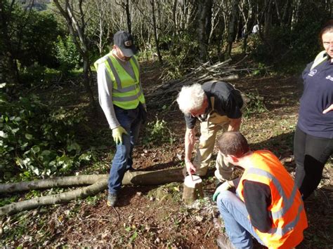 Training in Coppicing & Hurdling Techniques – Ring of Gullion