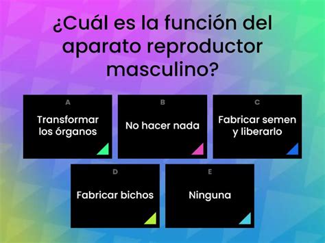 Aparato Reproductor Masculino Cuestionario