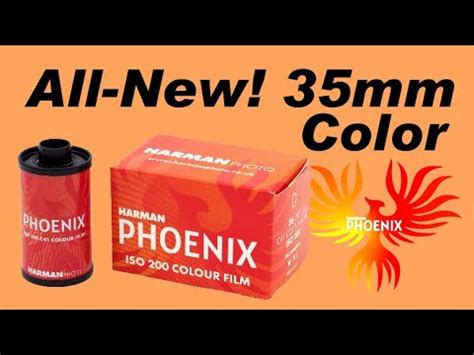 Harman Phoenix 35mm Experimental Color Film Sample Images YouTube