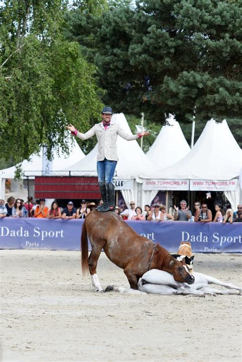 Horse dressage show editorial stock image. Image of tree - 96186429