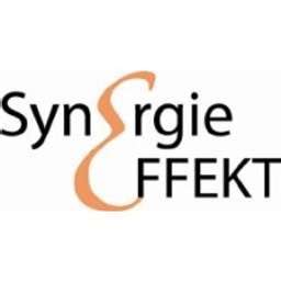 Synergie Effekt Crunchbase Company Profile Funding