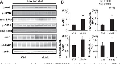 Figure From Phosphatidylinositol Kinase Akt Signaling Pathway