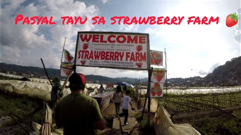 Ang Paglalakbay Pasyal Tayu Welcome Sa Strawberry Farm Ating Panoorin