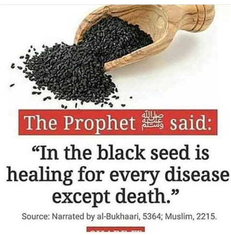 Subhan Allah Healing Food Health Food Medicine