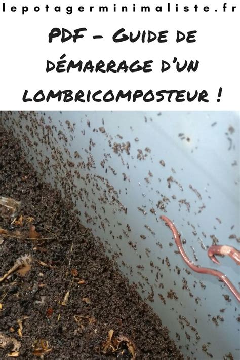 Lombricompostage Du Compost Sur Nos Balcons Et Terrasses