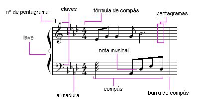 Actividad Expreci N Musical