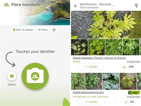 L Application Gratuite Pour Reconna Tre N Importe Quelle Plante