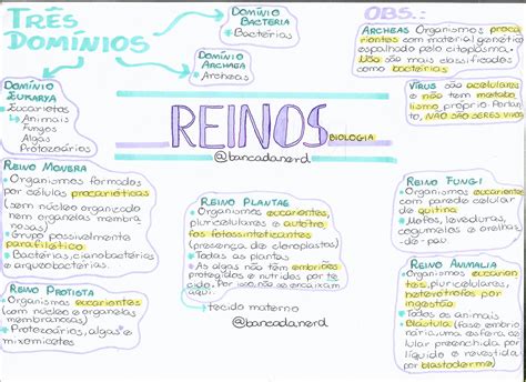 Mapa Mental 5 Reinos LIBRAIN