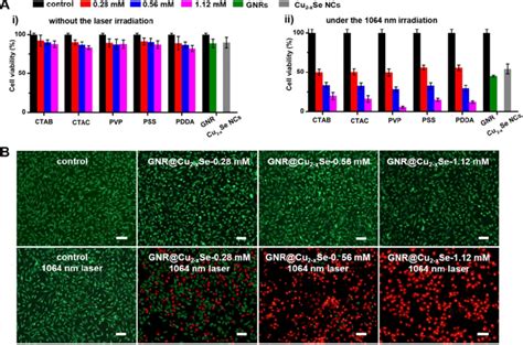 In Vitro Cytotoxicity And Nir Ii Photothermal Ablation Of Cancer Cells