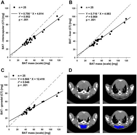 Correlation Between Resected Brown Adipose Tissue Bat Weighted On