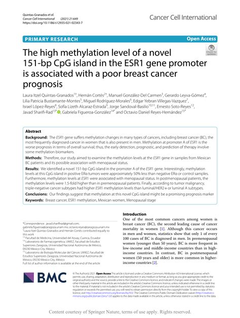 PDF The High Methylation Level Of A Novel 151 Bp CpG Island In The