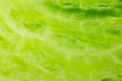 Lettuce Background Images Browse 140 Stock Photos Vectors And