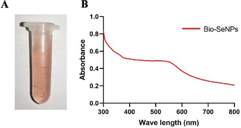 Visual Appearance And Visible Absorbance Spectrum Of 0 07 Mg Ml Of