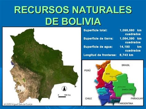 Tema 6 Recursos Forestales De Bolivia 2013