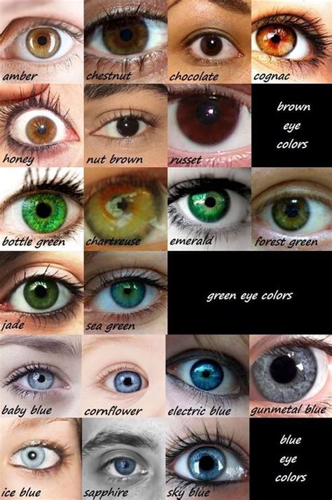 Amber eyes color – Artofit