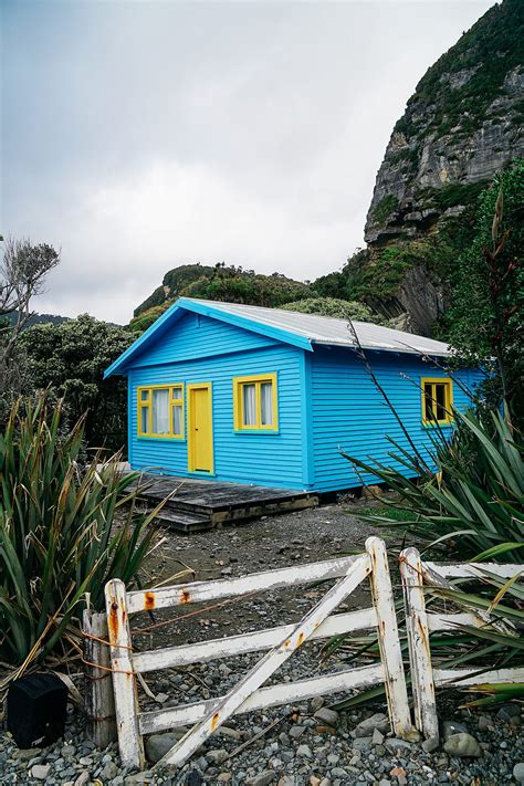 Rugged New Zealand Bush Forest By Stocksy Contributor Shannon Aston