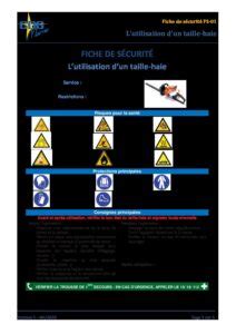 Fiche de sécurité au poste de travail FS 01 Lutilisation dun taille