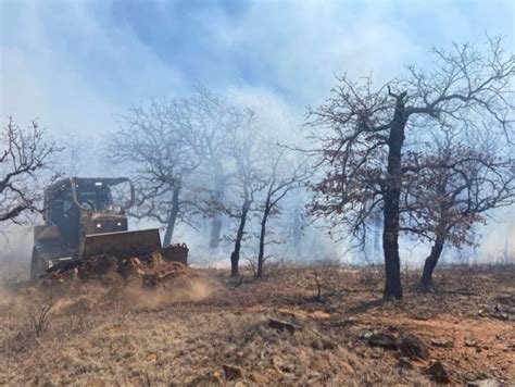 What Are The Top 5 Largest Wildfires In Texas History