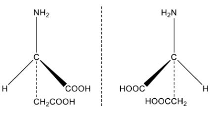 Ib Dp Chemistry B Stereochemistry In Biomolecules Hl Only Hl Paper