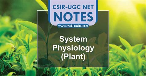 Unit 6 System Physiology Plant