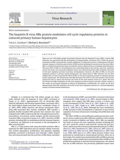 Pdf The Hepatitis B Virus Hbx Protein Modulates Cell Cycle Regulatory