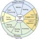 There Are 9 Wastes In The Lean Waste Wheel Kaufman Global