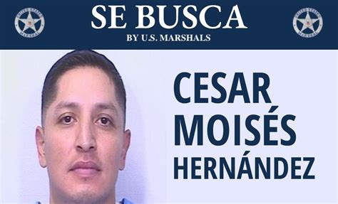 Estados Unidos Lanza Recompensa Para Capturar A Asesino De Abigail