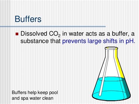 Ap Biology Properties Of Water