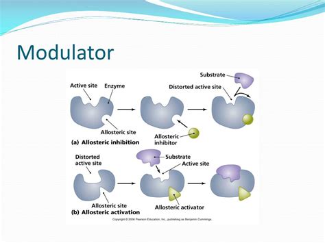 PPT - Enzyme Inhibition and Regulation PowerPoint Presentation, free download - ID:2205314