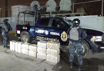 Aseguran M S De Kilos De Mariguana En Tamaulipas Grupo Milenio