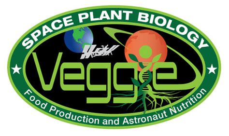 After Successfully Growing Veggies In Space Flowers Are Next For NASA