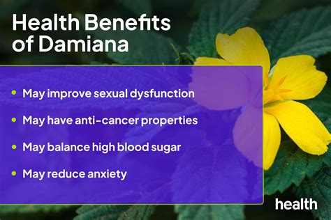 Damiana: Benefits, Uses, Side Effects, and More