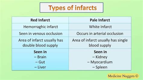 Types Of Infarct Medizzy