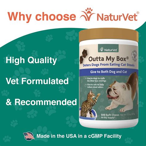 Will Dogs Poop In Kitty Litter at Charles Rolle blog