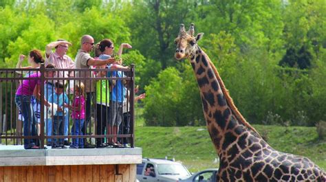 Parc Safari Forfaits Québec