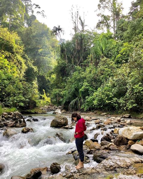 Fakta Taman Nasional Gunung Leuser