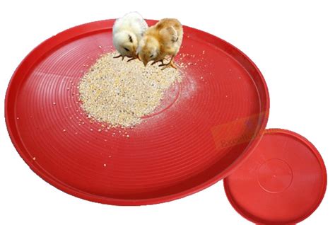 Baby Chicken Feeder Trays Poultry Farm Pp Plastic Broiler Feeder Pan