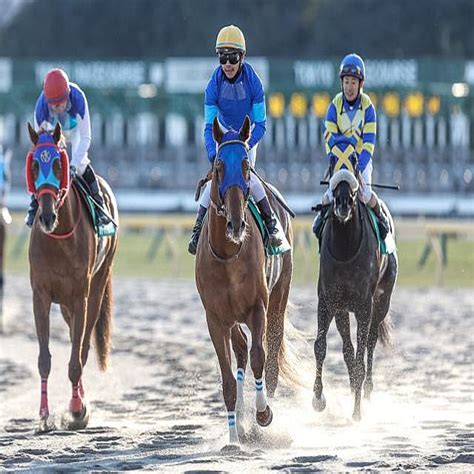 【フェブラリーs出走馬・騎手確定】レモンポップ＆坂井瑠星騎手、ドライスタウト＆戸崎圭太騎手など16頭 2023年2月16日掲載