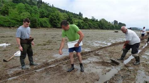 Los mariscadores de la ría maliayesa perciben la ayuda anual por su