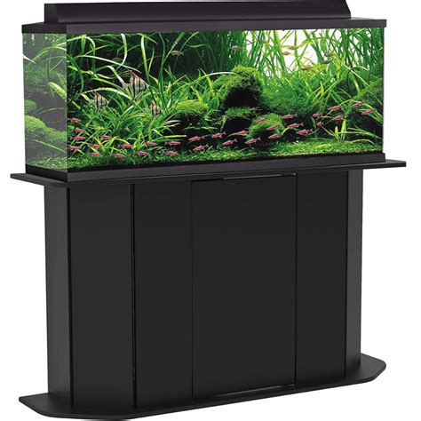 Best 55 Gallon Aquarium Stand: Everything You Need to Know - RobbysReviews