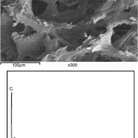 Tem Micrograph Of The Prepared Sol Gel Bioactive Glass Sg