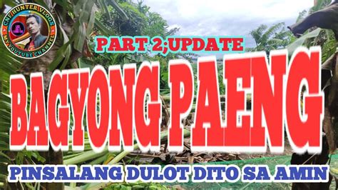 Bagyong Paeng Update Dito Sa Amin Part Pinsalang Idinulot Dito Sa