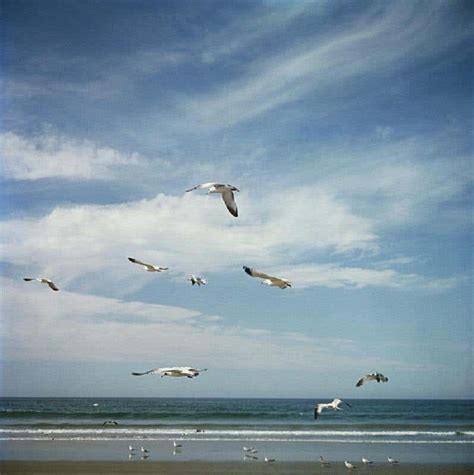 Slim Aarons San Diego Gulls 1960 Slim Aarons Limited Estate Edition