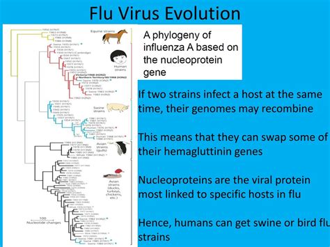 PPT Evolution And Modern Medicine Understanding Pathogen Evolution