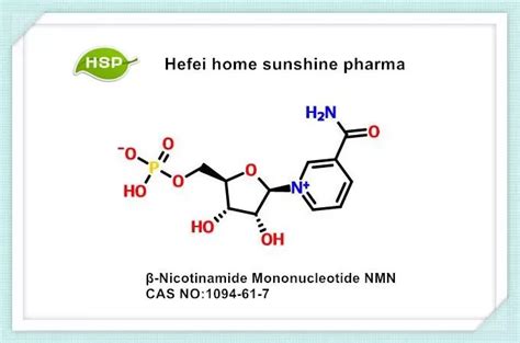 Nicotinamide Mononucleotide Nmn Beta Cas Hefei Home