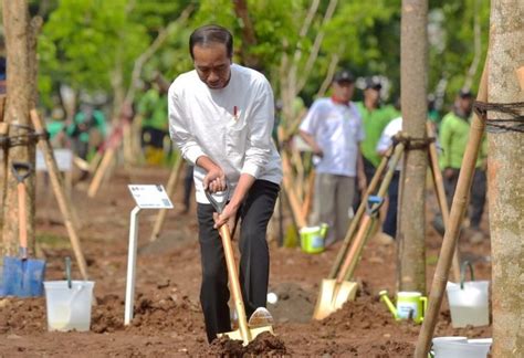 Antisipasi Perubahan Iklim Presiden Jokowi Ajak Masyarakat Tanam Pohon