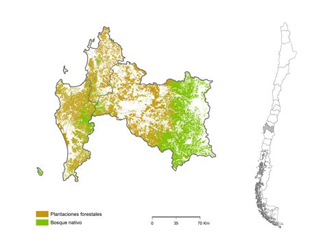 Región del Biobío