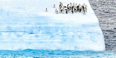 Ross Sea Luxury Cruises Antarctica Blue Parallel